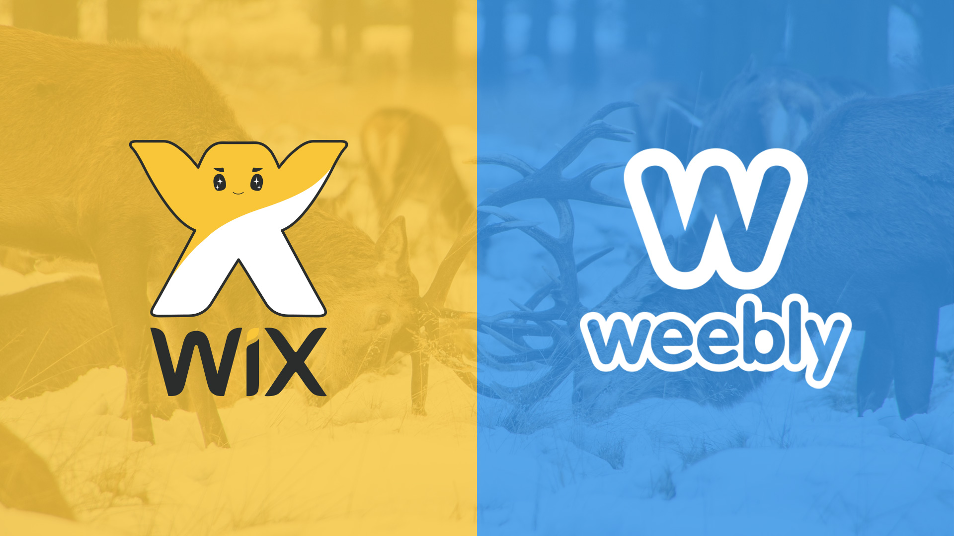Wix Vs Weebly – 5 Important Differences To Know