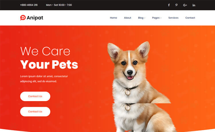 Free Bootstrap 4 HTML5 Pet Care Website Template